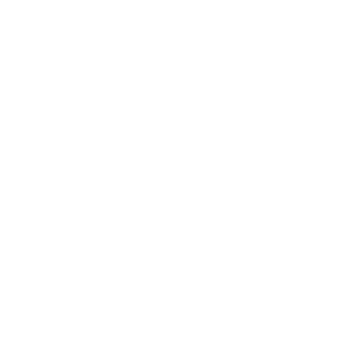 MS Hololens